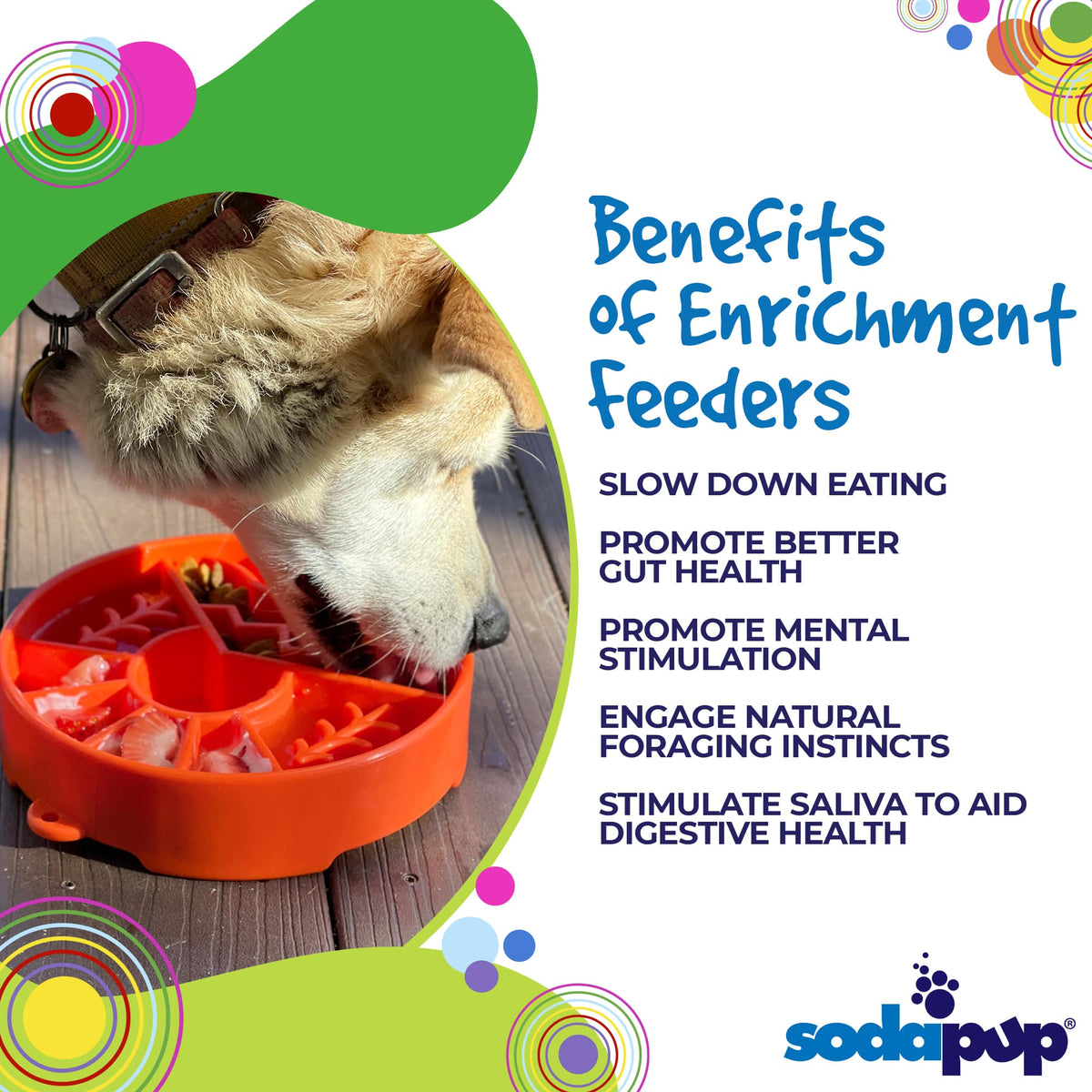 Great Outdoors eBowl - Slow Feeder Dog Bowl & Enrichment | USA Made