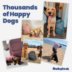 The Original Doggy Bag™ Backpack for Dog Supplies
