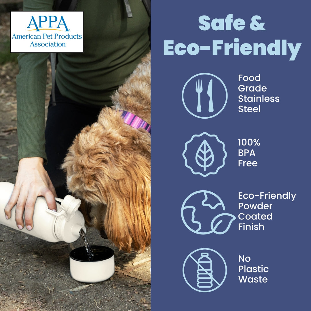 Dog + Human Water Bottle with Detachable Dog Bowl